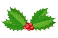 Holly berry, Christmas leaves and fruits icon, symbol, design. Winter vector illustration on white background. Decorative twigs, Royalty Free Stock Photo