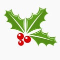 Holly berry Christmas symbol Royalty Free Stock Photo