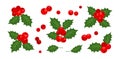 Holly berry christmas vector icons, season decoration, winter plant fruits. Holiday Royalty Free Stock Photo