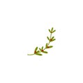 Holly berry hand drawn sprig icon. Christmas symbol vector illustration Royalty Free Stock Photo