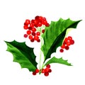 Holly berry icon, Christmas symbol Royalty Free Stock Photo