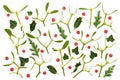 Holly Berry Mistletoe and Fir Background Composition