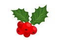 Holly berry vector icon Christmas symbol, holiday plant, winter illustration Royalty Free Stock Photo