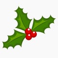 Holly berry vector