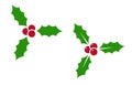 Holly berry - vector icon. Holly berry leaves. Christmas symbol isolated Royalty Free Stock Photo