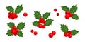 Holly berry vector icons Christmas symbol, holiday plants, winter illustration Royalty Free Stock Photo