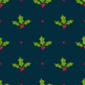 Holly berry vector seamless pattern. Christmas background with mistletoe berries Royalty Free Stock Photo