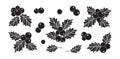 Holly berry vector set, christmas icon, sprig with leaves, holiday plant decoration. Simple Royalty Free Stock Photo