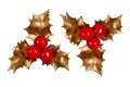 Holly branch. Christmas symbol