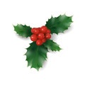 Holly branch with red berries Christmas symbol. Holiday traditional decoration New Year wreath part green leaves Royalty Free Stock Photo