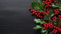 Holly Branch With Red Berries and Green Leaves Royalty Free Stock Photo