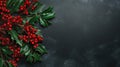 Holly Branch With Red Berries and Green Leaves Royalty Free Stock Photo