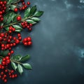 Holly Branch With Red Berries and Green Leaves Royalty Free Stock Photo