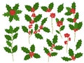 Holly branches. Christmas holiday decoration branch with red berries, winter plant leaves vector illustration set Royalty Free Stock Photo