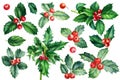 Holly branches, leaves and berries. Christmas set of plant elements on white background, watercolor illustration Royalty Free Stock Photo
