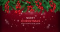 Holly christmas background, pine tree branch and red mistletoe berry, xmas holiday evergreen fir or spruce decoration Royalty Free Stock Photo