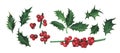 Christmas plant holly set berries isolated on white background. Watercolor hand drawn Xmas illustration. Art for design Royalty Free Stock Photo