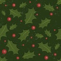 Holly Christmas pattern Royalty Free Stock Photo