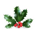 Holly decor element