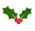 Holly icon vector