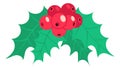 Holly icon. Winter red berries on sharp green leaves