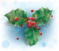 Holly ilex sprig christmas decoration