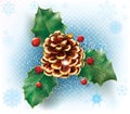 Holly ilex sprig and pine cone christmas decoration. Vector illustration