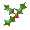 Holly illustration - high resolution Royalty Free Stock Photo