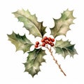 Mossy Green Holly Branch Watercolor Illustration With Red Berries Royalty Free Stock Photo