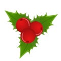 Holly isolated on a white background. Berries on green leaves. Symbol of new year and Christmas. Vector illustration in flat Royalty Free Stock Photo