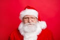 Holly jolly is coming! Close up portrait of stylish friendly cal Royalty Free Stock Photo