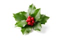 Holly leaves decoration with red berries