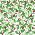 Holly leaves, Mistletoe and Red Berries On White Background.