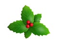 Holly leaves and red berry Royalty Free Stock Photo