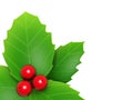 Holly leaves and red berry Royalty Free Stock Photo