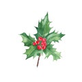 Holly plant with red berries. Symbol of the New year and Christmas. Watercolor hand painted illustration isolated on Royalty Free Stock Photo