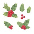 Holly plant, red berries, traditional winter holidays watercolor illustration, leaves and berries, watercolor, end of the year Royalty Free Stock Photo