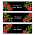 Holly, poinsettia and mistletoe. Christmas and New Year banners Royalty Free Stock Photo