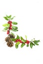 Holly and red berries corner motif Royalty Free Stock Photo