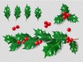 Holly Set. Realistic leaves, branch, red berries. Christmas and New Year decorations. 3d illustration for your layout