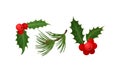 Holly Specie Twig with Red Berries and Tree Needle Branch Vector Set