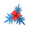 Holly sprig with berries vector illustration.