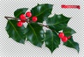 Holly traditional christmas decoration, 3d realistic vector icon