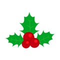 Holly of traditional Christmas the decoration icon