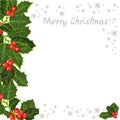 The holly tree, branches. Decorative element with holly tree. Royalty Free Stock Photo