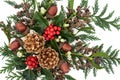 Holly and Winter Greenery Decorative Composition Royalty Free Stock Photo