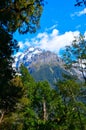 Hollyford Fiordland National Park, New Zealand Royalty Free Stock Photo