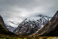 Hollyford valley