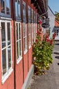 Hollyhocks and roses growing in front of the traditional red cottage house in Svaneke.