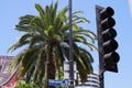 Hollywood BL, sign, palm tree, tree, traffic light, Los Angeles, California, USA, Blue sky